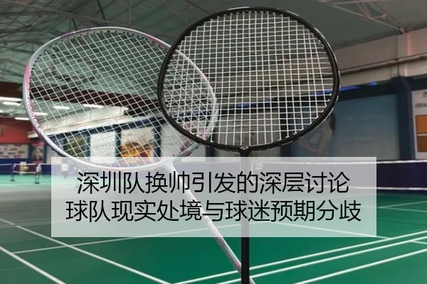 深圳队换帅引发的深层讨论 球队现实处境与球迷预期分歧
